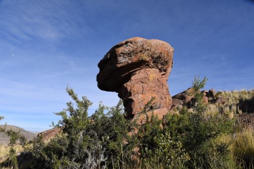 Bosque de Piedras Gigantes Jallihuaya